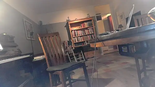 Snapshot of RolfS chatting on 26, 4, 2026 RolfS online show from 26, 4, 2026