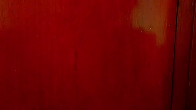 anisha x online show from 1, 10, 2025