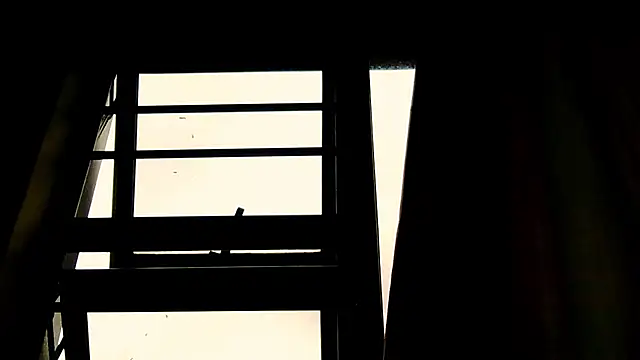 Snapshot of daddyzgal chatting on 3, 6, 2026 daddyzgal online show from 3, 6, 2026