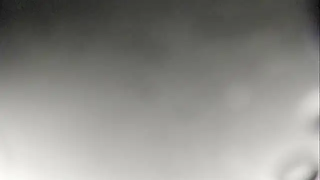 JANER 03 online show from 19, 1, 2025