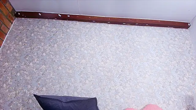 nicol f online show from 27, 11, 2025