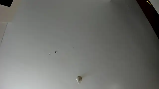 Snapshot of evely_coelloo chatting on 5, 11, 2025 evely coelloo online show from 5, 11, 2025