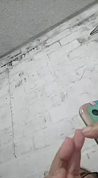 CafeCaliente69 online show from 27, 12, 2024