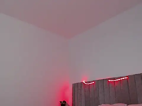 thomas gun online show from 7, 11, 2025