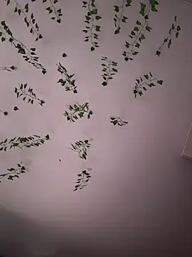 Snapshot of -Sexy_Barbie- chatting on 5, 11, 2025 -Sexy Barbie- online show from 5, 11, 2025