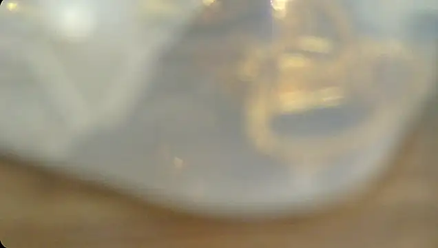 Snapshot of Rashisharma chatting on 14, 10, 2025 Rashisharma online show from 14, 10, 2025