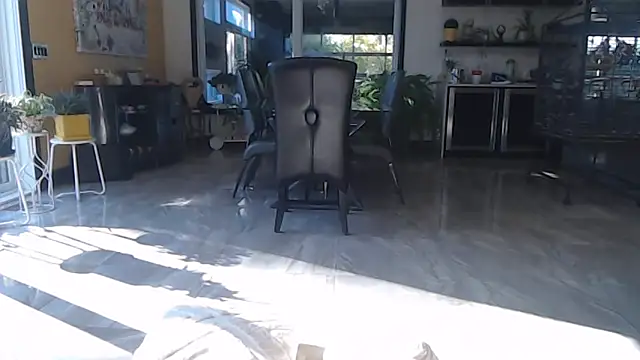 Toy-Daddy online show from 28, 10, 2025