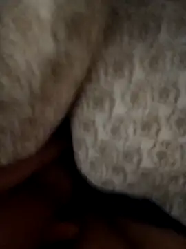 Porco81cazzo online show from 6, 1, 2026