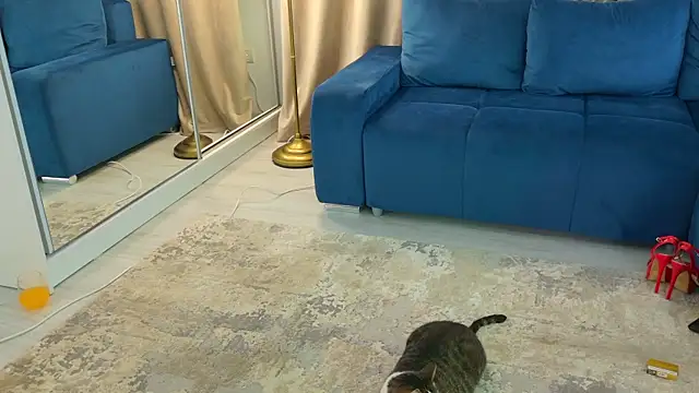 Snapshot of Addictive_T chatting on 12, 2, 2025 Addictive T online show from 12, 2, 2025