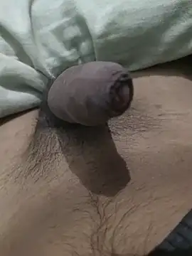 iaparna online show from 9, 1, 2025