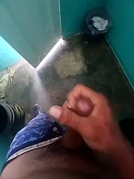 taylorWiiz online show from 4, 3, 2025