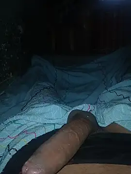 taylorWiiz online show from 27, 11, 2025