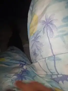 taylorWiiz online show from 18, 6, 2026