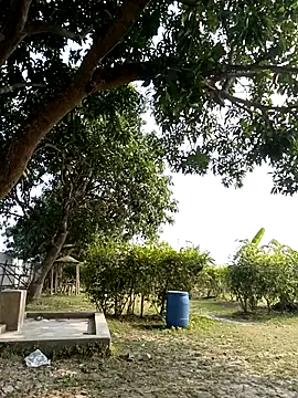 Hot Urvi online show from 19, 12, 2025