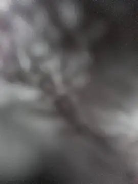 Snapshot of hungarian_dick chatting on 31, 1, 2025 hungarian dick online show from 31, 1, 2025