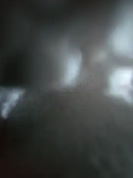 Snapshot of hungarian_dick chatting on 19, 10, 2025 hungarian dick online show from 19, 10, 2025