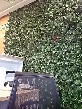   JaviJavi online show from 15, 3, 2026