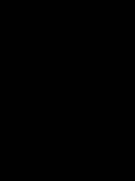 talall12345 online show from 17, 3, 2025