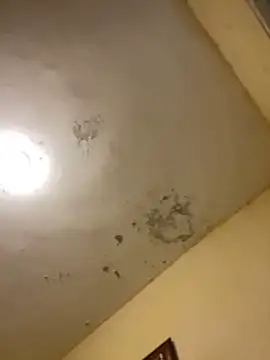 Snapshot of tobiramalapara chatting on 16, 12, 2025 tobiramalapara online show from 16, 12, 2025