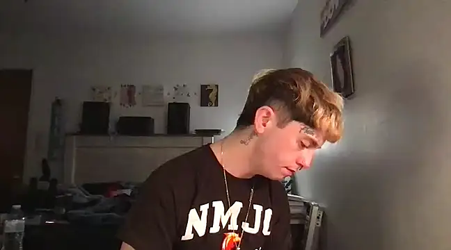 Snapshot of twentywithafelonyy chatting on 4, 3, 2025 twentywithafelonyy online show from 4, 3, 2025