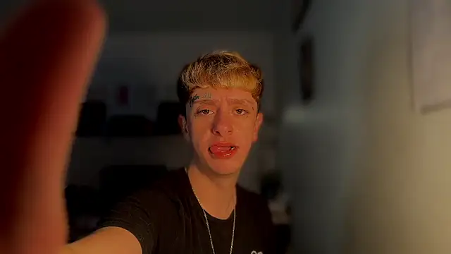 Snapshot of twentywithafelonyy chatting on 14, 3, 2025 twentywithafelonyy online show from 14, 3, 2025