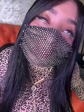 belquiis online show from 11, 2, 2026