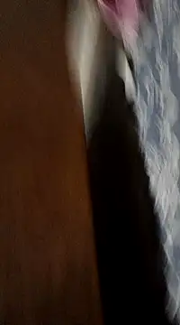 Sexoardiente69 online show from 19, 1, 2025