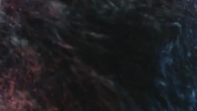 Snapshot of Sofiacowperx chatting on 31, 3, 2026 Sofiacowperx online show from 31, 3, 2026