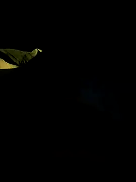 bigdickbandot online show from 18, 11, 2025