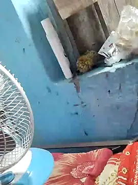 Snapshot of Natasha-In69 chatting on 6, 2, 2025 Natasha-In69 online show from 6, 2, 2025