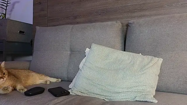 Snapshot of SultryAndrewww chatting on 10, 1, 2026 SultryAndrewww online show from 10, 1, 2026