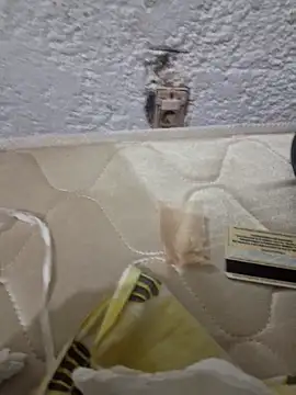 montevideoo online show from 6, 10, 2025