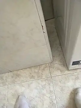 user 662 online show from 20, 2, 2026