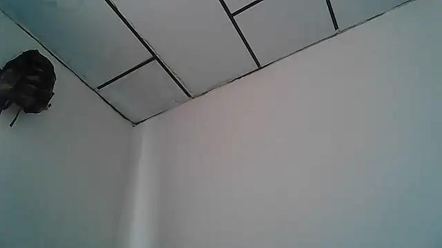 Snapshot of Alphadavid_23 chatting on 30, 4, 2026 Alphadavid 23 online show from 30, 4, 2026
