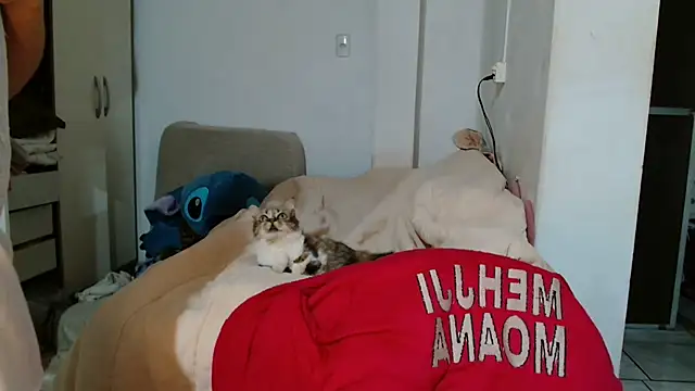 Snapshot of le_fox chatting on 4, 7, 2026 le fox online show from 4, 7, 2026