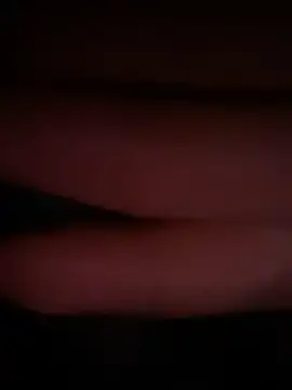 TENDo 519 online show from 1, 3, 2026