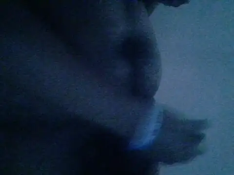 Snapshot of mateomalp675_90 chatting on 28, 4, 2026 mateomalp675 90 online show from 28, 4, 2026