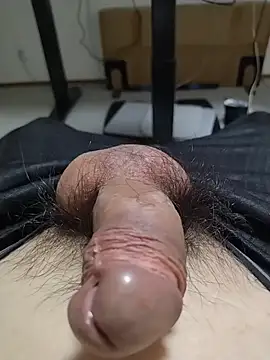 ikkakusai11 online show from 1, 12, 2025