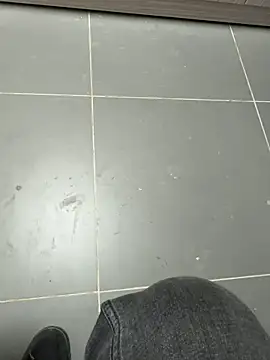 homidor online show from 3, 12, 2025