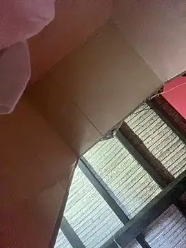 Dalton oficial online show from 13, 2, 2026