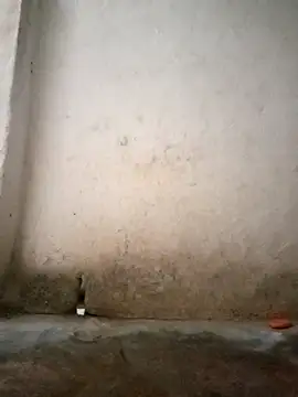 Snapshot of Hotty-queen chatting on 11, 10, 2025 Hotty-queen online show from 11, 10, 2025