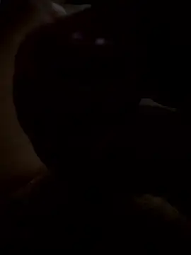 rusken123 online show from 15, 1, 2026