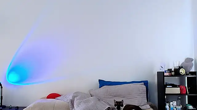 Snapshot of anika_lowen02 chatting on 6, 2, 2025 anika lowen02 online show from 6, 2, 2025