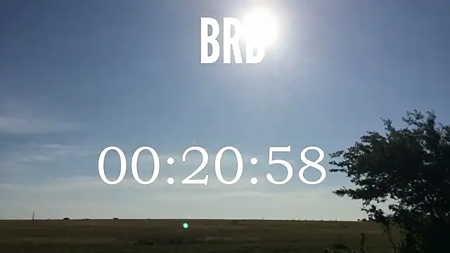 Snapshot of ulmo_br chatting on 8, 2, 2026 ulmo br online show from 8, 2, 2026