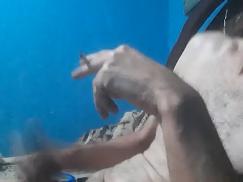 hugosafado333 online show from 15, 10, 2025