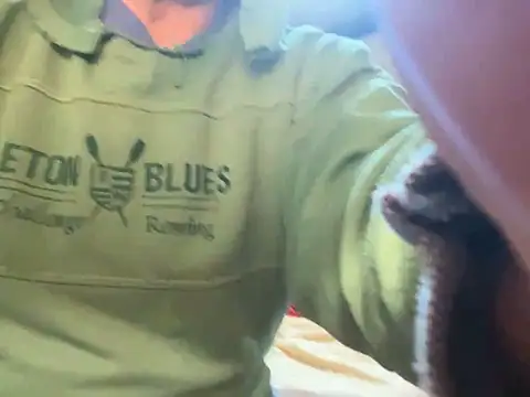 4n4l1zz4m1 online show from 24, 12, 2024