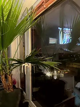 pillepallex84x online show from 9, 1, 2026