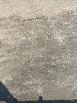 Snapshot of Gururonny07 chatting on 13, 12, 2024 Gururonny07 online show from 13, 12, 2024