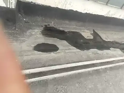 Snapshot of Gururonny07 chatting on 15, 1, 2025 Gururonny07 online show from 15, 1, 2025