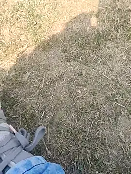 Snapshot of Gururonny07 chatting on 19, 2, 2025 Gururonny07 online show from 19, 2, 2025